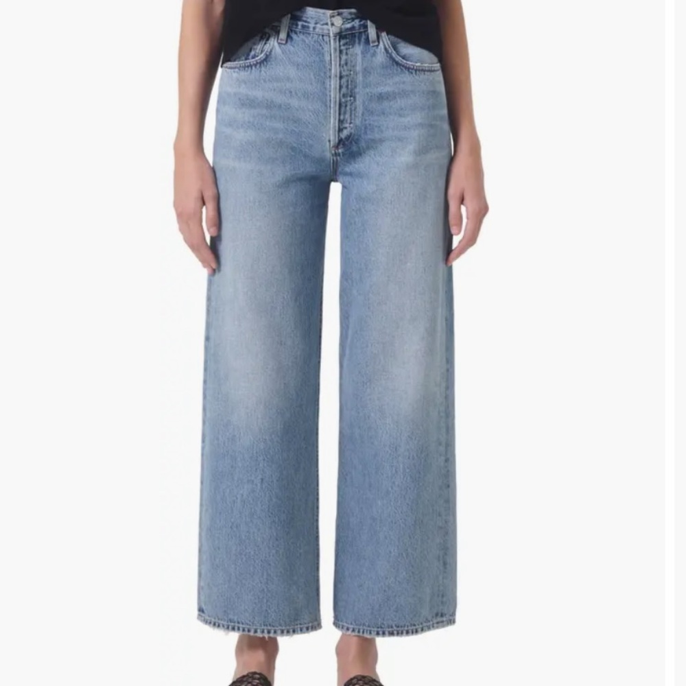Agolde Ren High Waist Wide Leg Pants